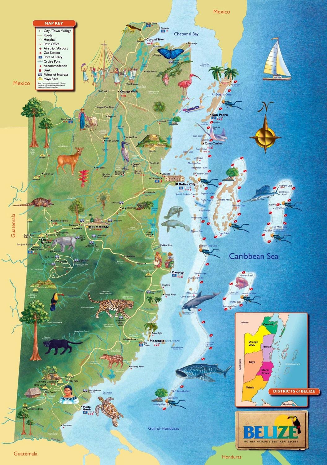 Kort af Belize fossa 